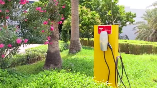 Dubai Zjednoczone Emiraty Arabskie Circa 2021 Tesla Super Charger Zielonej — Wideo stockowe