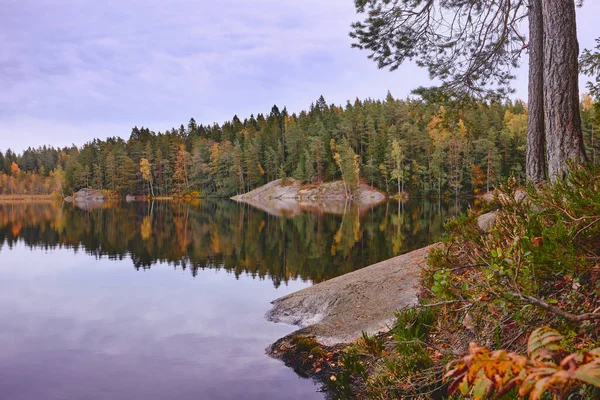 Finlandiya Daki Pilvijarvi Gölü Nün Sularındaki Sonbahar Ormanlarının Mükemmel Yansıması — Stok fotoğraf