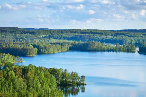 Letni Widok Góry Neitvuori Finlandii Jeziora Lasu — Zdjęcie stockowe