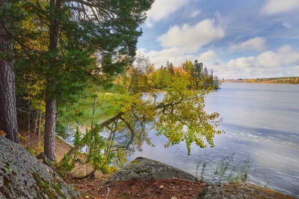 Jesienny Widok Jezioro Tuusula Finlandii — Zdjęcie stockowe