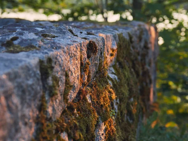 The old granite wall of the European cemetery overgrown with moss under the rays of the setting sun: time history memory light.