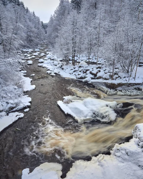 Los Rápidos Del Río Nukarinkoski Vantaanjoki Nurmijarvi Invierno Finlandia — Foto de Stock