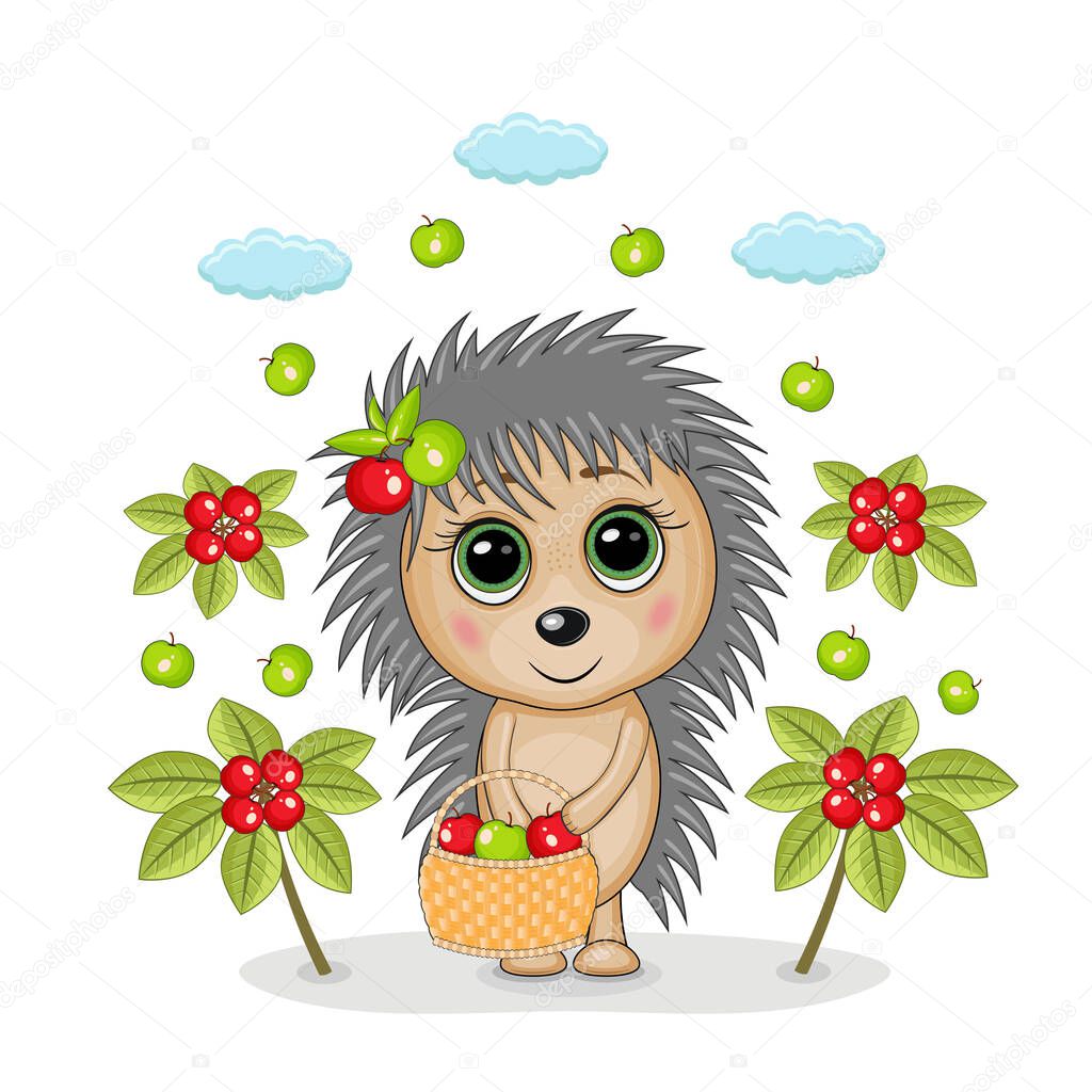 Vector illustration of a fairy hedgehog with a basket and apples on a white background.