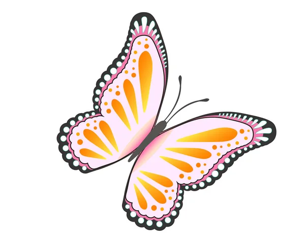 カラフルな蝶のベクトルイラスト 白い背景に隔離された — ストックベクタ