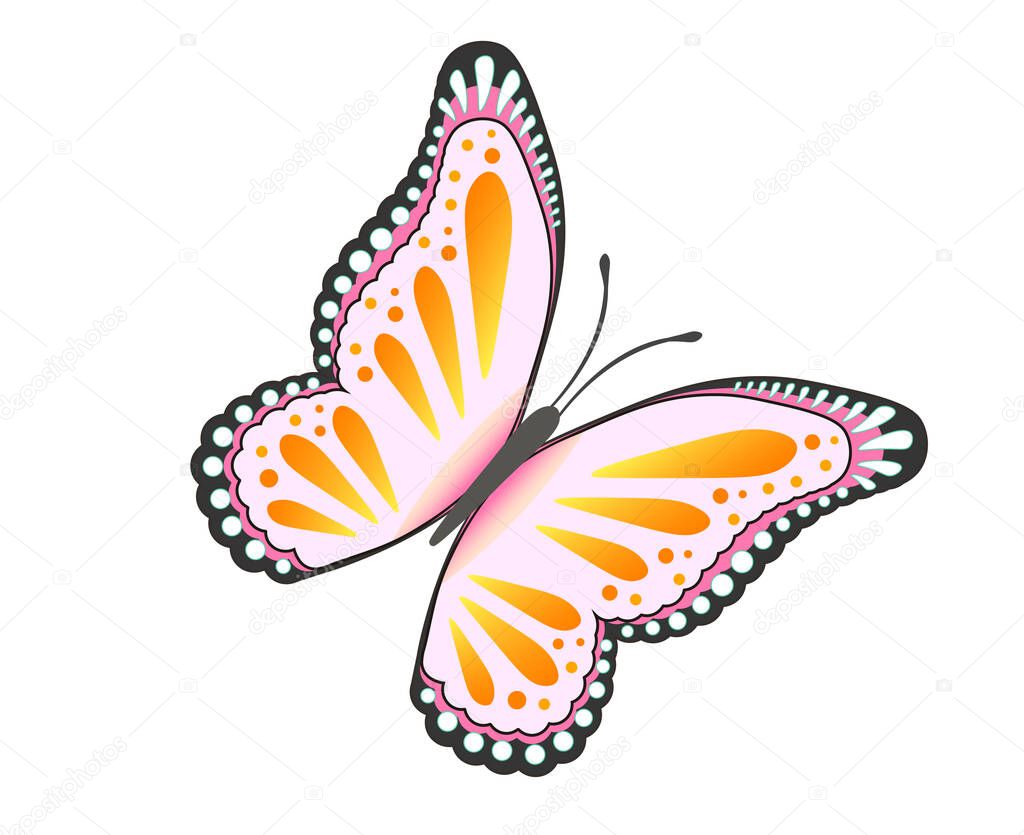 Vector illustration of a colorful butterfly. Isolated on a white background.