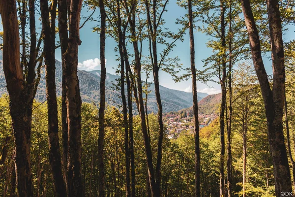 View from the forest to the resort village Krasnaya Polyana