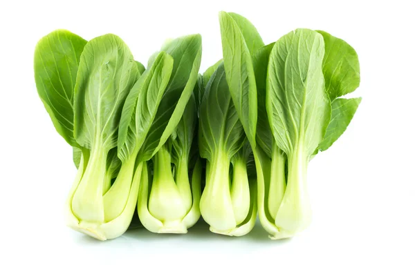 Bebek pak choi üzerinde beyaz bir arka plan