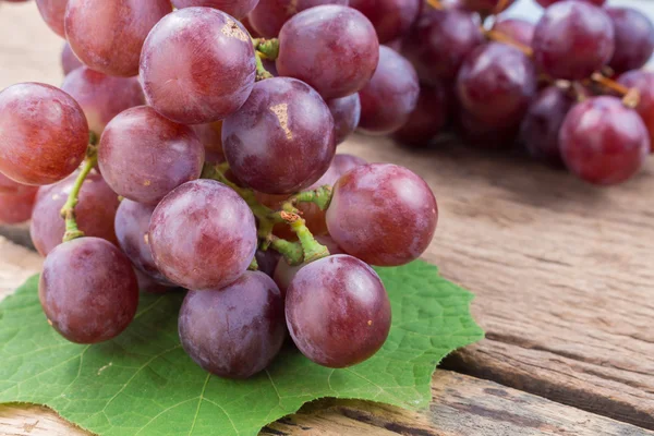 Свіжий виноград на дереві — стокове фото