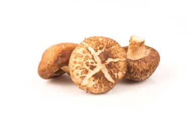 Taze shiitake mantar beyaz