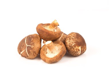 Taze shiitake mantar beyaz