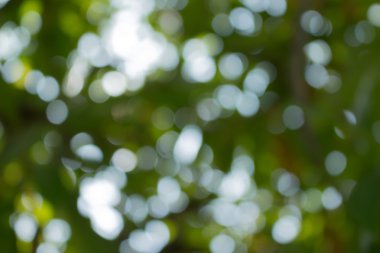 abstrack bokeh arka plan doğa