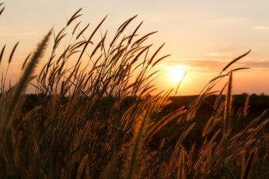 güneşin sıcak renk tonlu