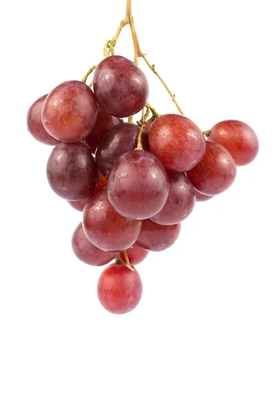 在白色背景上的新鲜葡萄 — 图库照片
