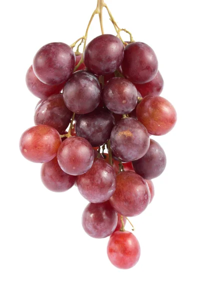 Fresh grape on white background — Stock Photo, Image