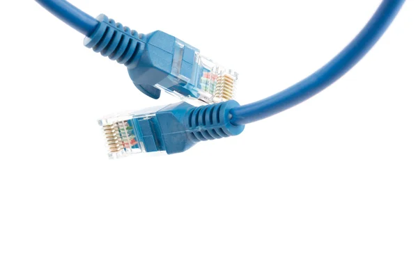 Cavo LAN cablato blu su bianco — Foto Stock