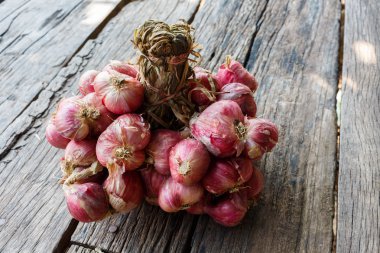 Arpacık bir tahta üzerinde