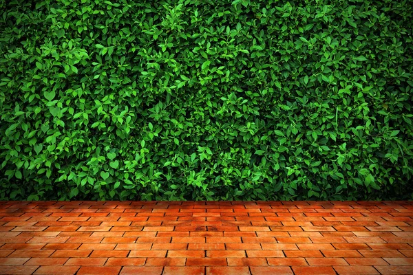 Fondo de pared hojas verdes — Foto de Stock