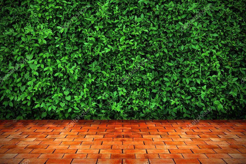 Green leaves wall background Stock Photo by ©jpkirakun 101188244 Green leaves wall background Stock Photo by ©jpkirakun 101188244