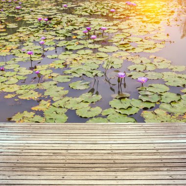 Gölet üzerinde çiçek açan ahşap doku zemin ve lotus çiçeği