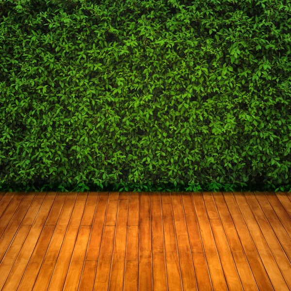 Πράσινο αφήνει φόντο στον τοίχο — Φωτογραφία Αρχείου