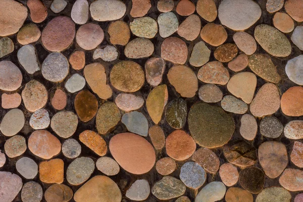 Oblázek kamenné podlaze dlaždice textury — Stock fotografie