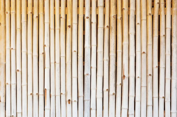 Old bamboo wall texture background — Stock Photo, Image