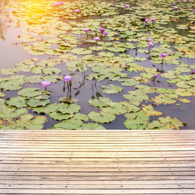 güzel nilüfer ile Teras ahşap.