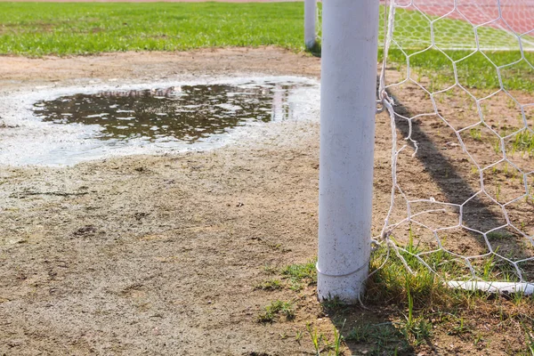 Golo de futebol com campo de grama . — Fotografia de Stock