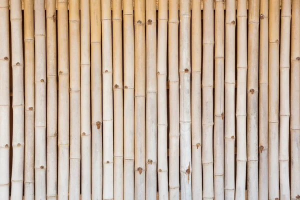 Old bamboo wall texture background — Stock Photo, Image