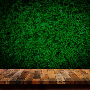 Boş eski ahşap masa veya sayaç yeşil yaprakları arka plan ile.