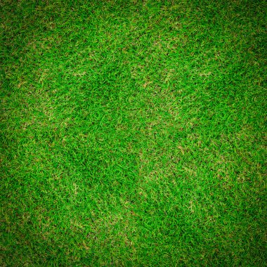 Yeşil Çimen Arkaplanı