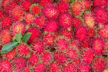 Rambutan meyve arka plan.