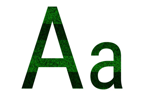 英语字母表与绿草的纹理. — 图库照片