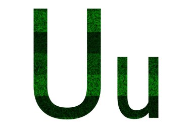 Yeşil çim dokusu ile İngilizce alfabe.