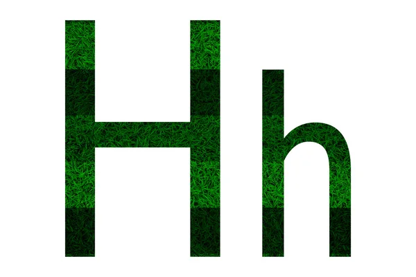 Alphabet anglais avec texture herbe verte . — Photo