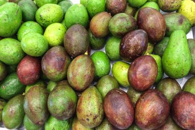 Avokado meyve arka plan