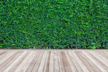 Ahşap zemin ile yeşil duvar arka plan bırakır