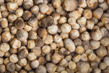 Yerel bir pazarda taze mantar