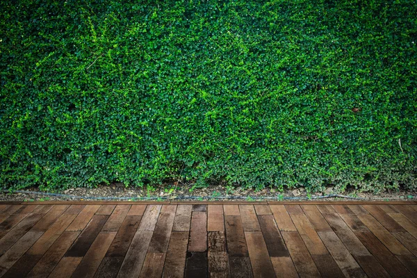 Ξύλινο πάτωμα με πράσινα φύλλα τοίχο φόντο — Φωτογραφία Αρχείου