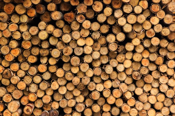 Wood for foundation pile — Stock Photo, Image