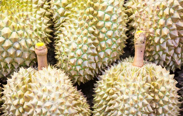 Durian fruit op de markt — Stockfoto