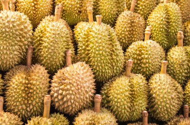 Durian meyvesi pazarda