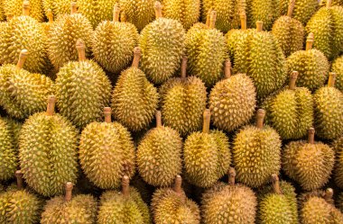 Durian meyvesi pazarda