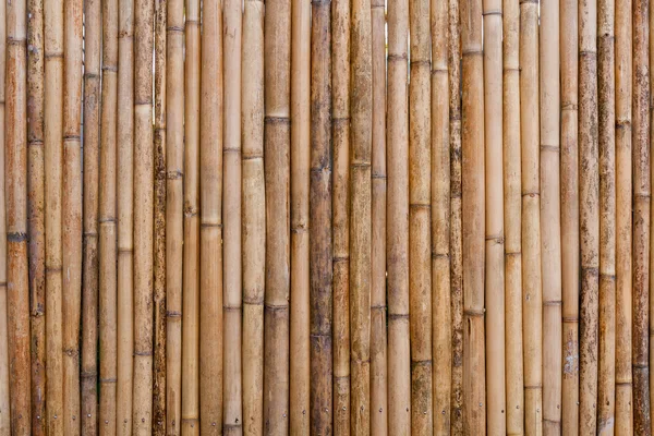 Fondo de valla de bambú — Foto de Stock