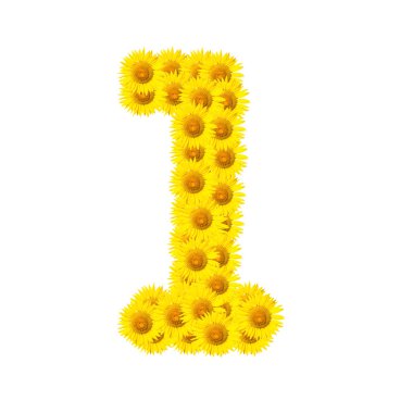 Ayçiçeği alfabe üzerinde beyaz izole