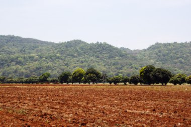 arazi tarım için hazır pulluk