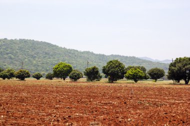 arazi tarım için hazır pulluk