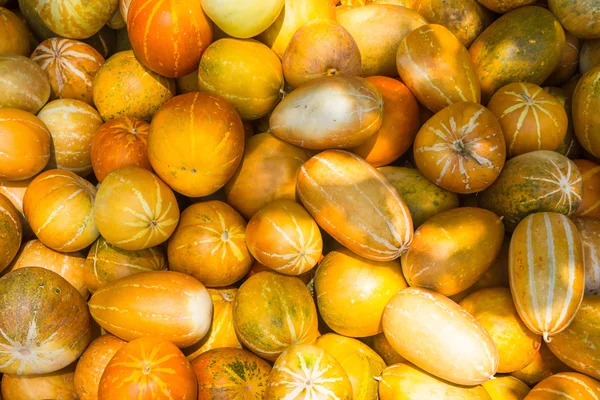 Cantaloupe fruit ,Cucumis melo — Stockfoto