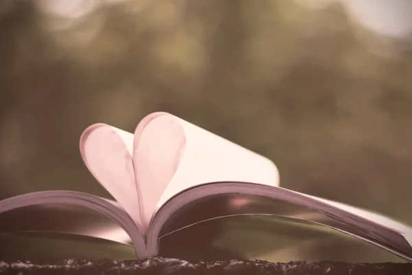 kalp kitap 