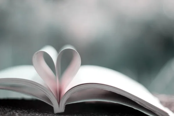 Libro del cuore — Foto Stock